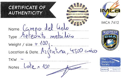 Meteorīts Campo del Cielo - Metāliskais meteorīts (5)