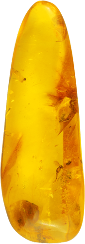 7,95 g Gintaro grynuolis su inkliuzais (3)