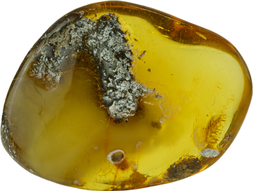 11,05 g Amber nugget (2)
