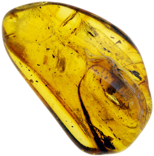 2,70 g Amber Nugget with inclusion (1)