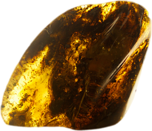 144 g Gintaro grynuolis (1)