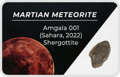 Марсиански метеорит (1)