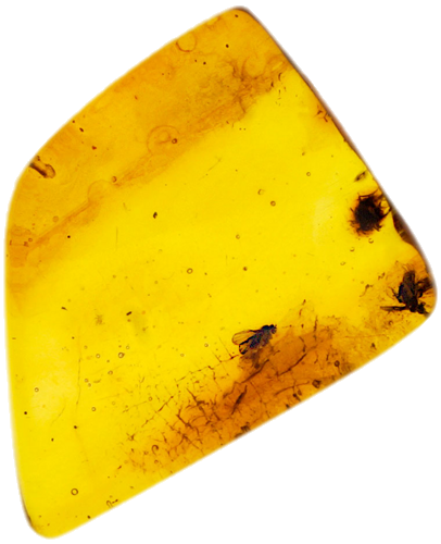 2,70 g Amber Nugget with inclusion (1)