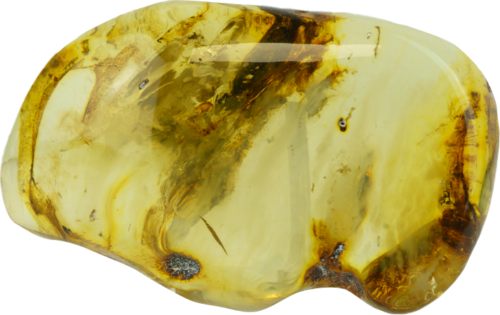 19,60 g Gintaro grynuolis (1)