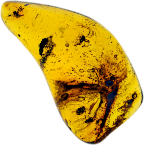 1,40 g Gintaro grynuolis su inkliuzais (1)