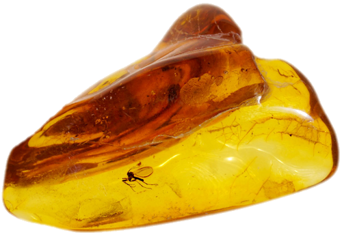 2,80 g Amber Nugget with inclusion (1)