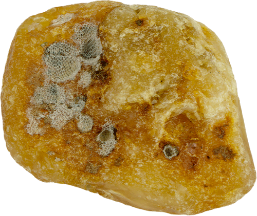 8.15 g Sea amber nugget (1)