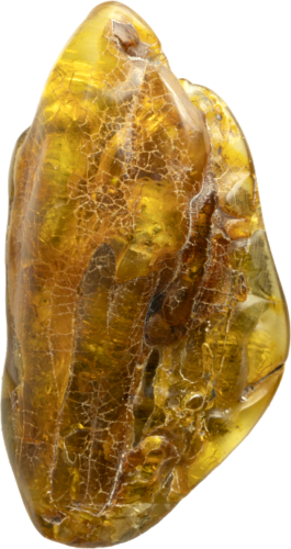 18,25 гр. Самороден кехлибар с фосил от кора на дърво (1)