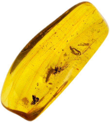 2,65 гр. Самороден кехлибар с фосил (1)