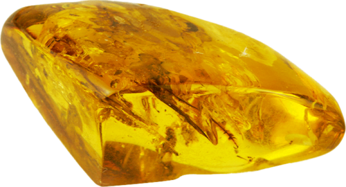 10,80 гр. Самороден кехлибар с фосил (4)