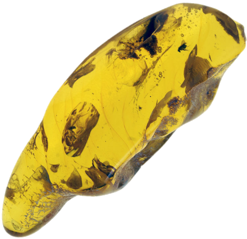 6,95 g Amber Nugget with inclusion (1)