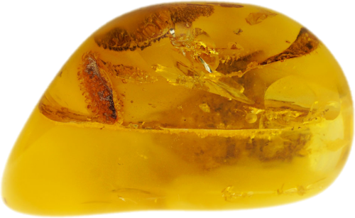 11,85 g Amber nugget (2)