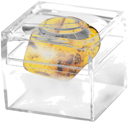 Самородок янтаря с инклюзом 2,85 г (2)