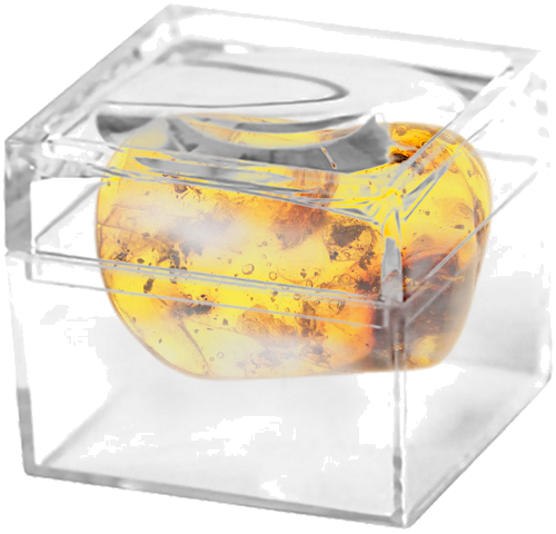 Самородок янтаря с инклюзом 4,50 г (2)