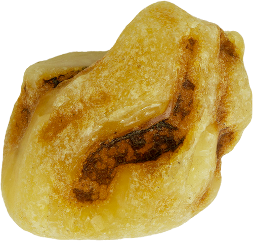 8,20 g Jūrinio Gintaro grynuolis (1)