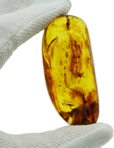 28,05 g Amber Nugget with inclusion (1)