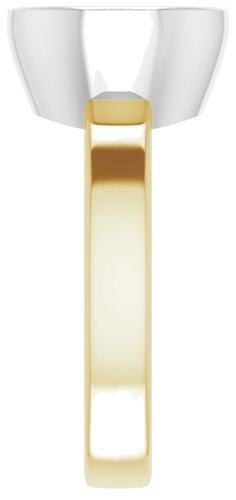 14K Yellow White 9.4 mm Round Solitaire Engagement Ring Mounting (4)