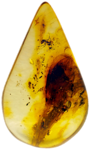 3,75 g Amber Nugget with inclusion (1)