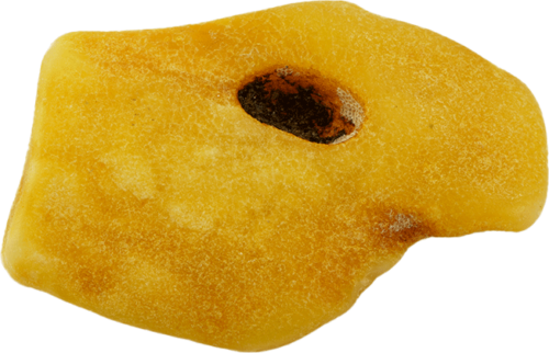 Морской янтарь 4,80 г (3)
