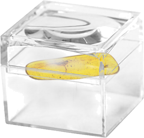 0,70 g Amber Nugget with inclusion (2)