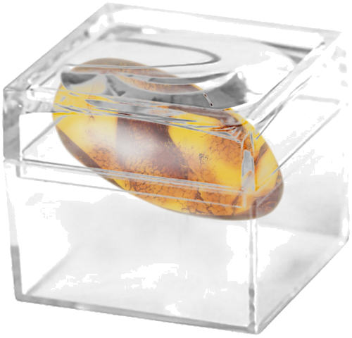 5,60 g Amber Nugget with inclusion (2)