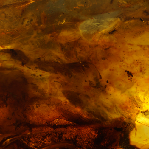 114 g Amber Nugget with inclusion (3)