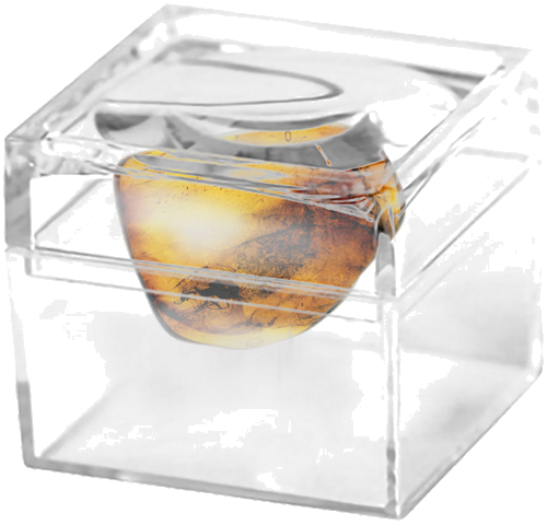 Самородок янтаря с инклюзом 1,50 г (2)