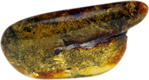 19,85 g Amber nugget with tree bark inclusion (1)