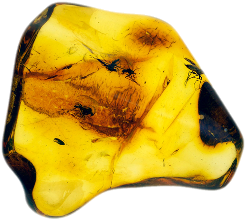 3,45 g Amber Nugget with inclusions (1)
