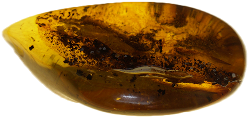 14,75 g Amber Nugget with inclusion (3)