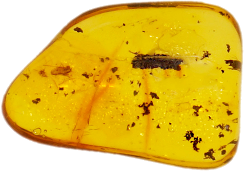 1,15 g Amber Nugget with inclusion (1)