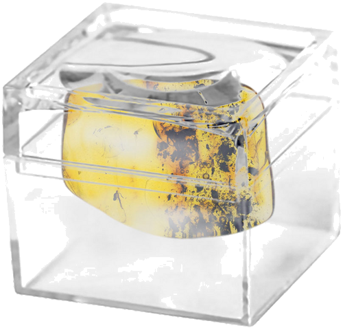 3,15 g Gintaro grynuolis su inkliuzais (2)