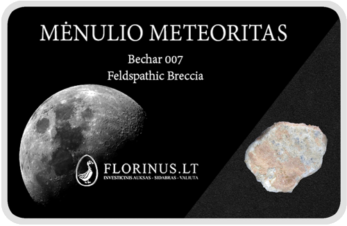 Lunar Meteorite (1)