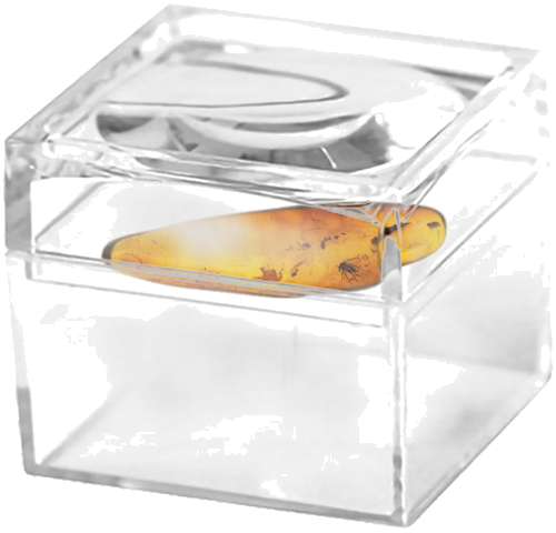 1,10 g Amber Nugget with inclusion (2)