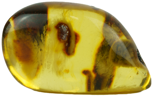 12.05 g Amber nugget (1)