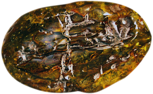 146 гр. Самороден кехлибар с естествен облак и фосил от кора на дърво (2)