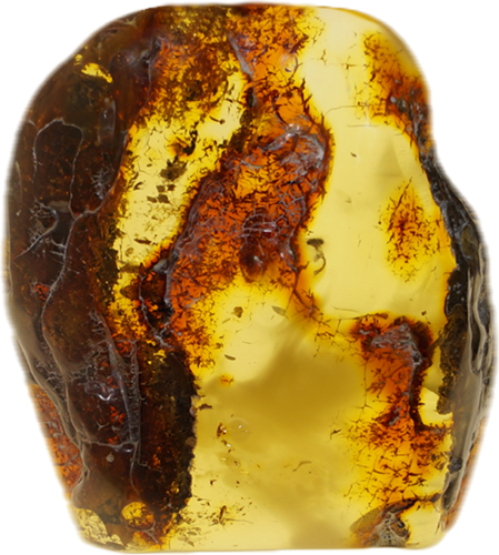 24,60 g  Amber Nugget (1)