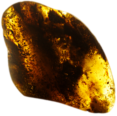 144 g Amber Nugget (2)