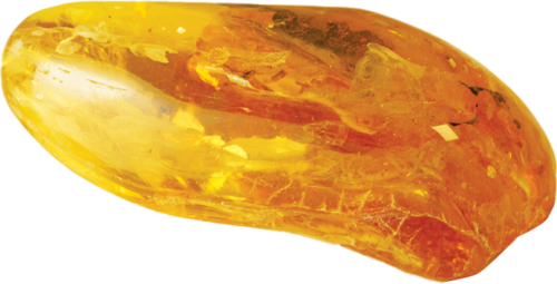 13,75 g Amber Nugget with inclusion (1)