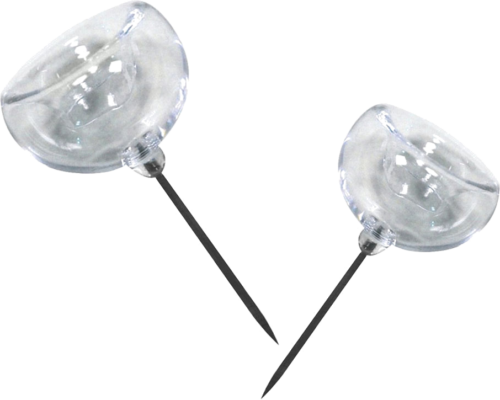 Stikla kolba kolekcijas uzturēšanai (2)