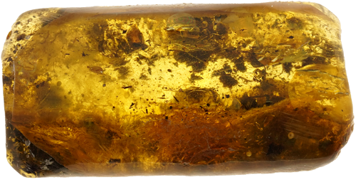 4,80 g Amber nugget (2)