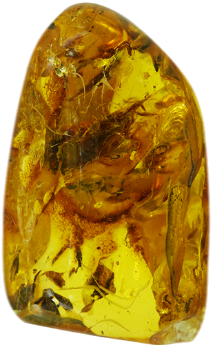36,05 g Amber Nugget with inclusion (3)