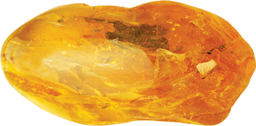 13,75 g Amber Nugget with inclusion (3)