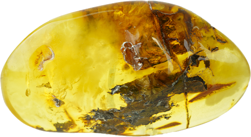 26,25 g Amber nugget (1)