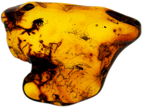 2,15 g Amber Nugget with inclusion (1)