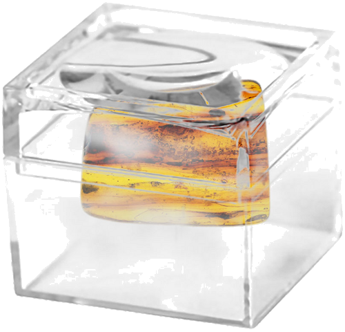 Самородок янтаря с инклюзом 1,70 г (2)