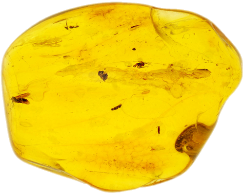 5,90 g Gintaro grynuolis su inkliuzu (1)