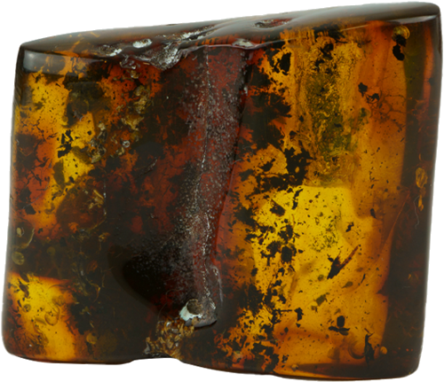 18,65 g Amber nugget (1)