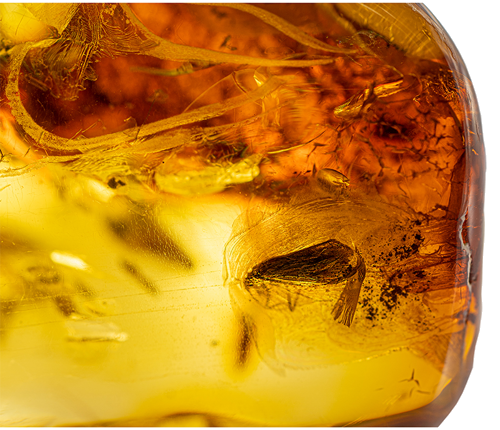 20,55 g Gintaro grynuolis su inkliuzu (2)