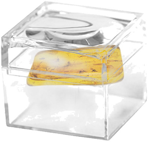 2,15 гр. Самороден кехлибар с фосил (2)